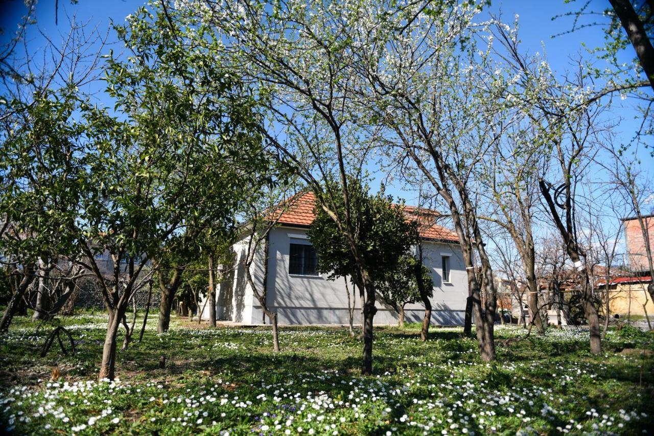 Nicolaus Hidden Gem Villa Shkoder Exterior photo