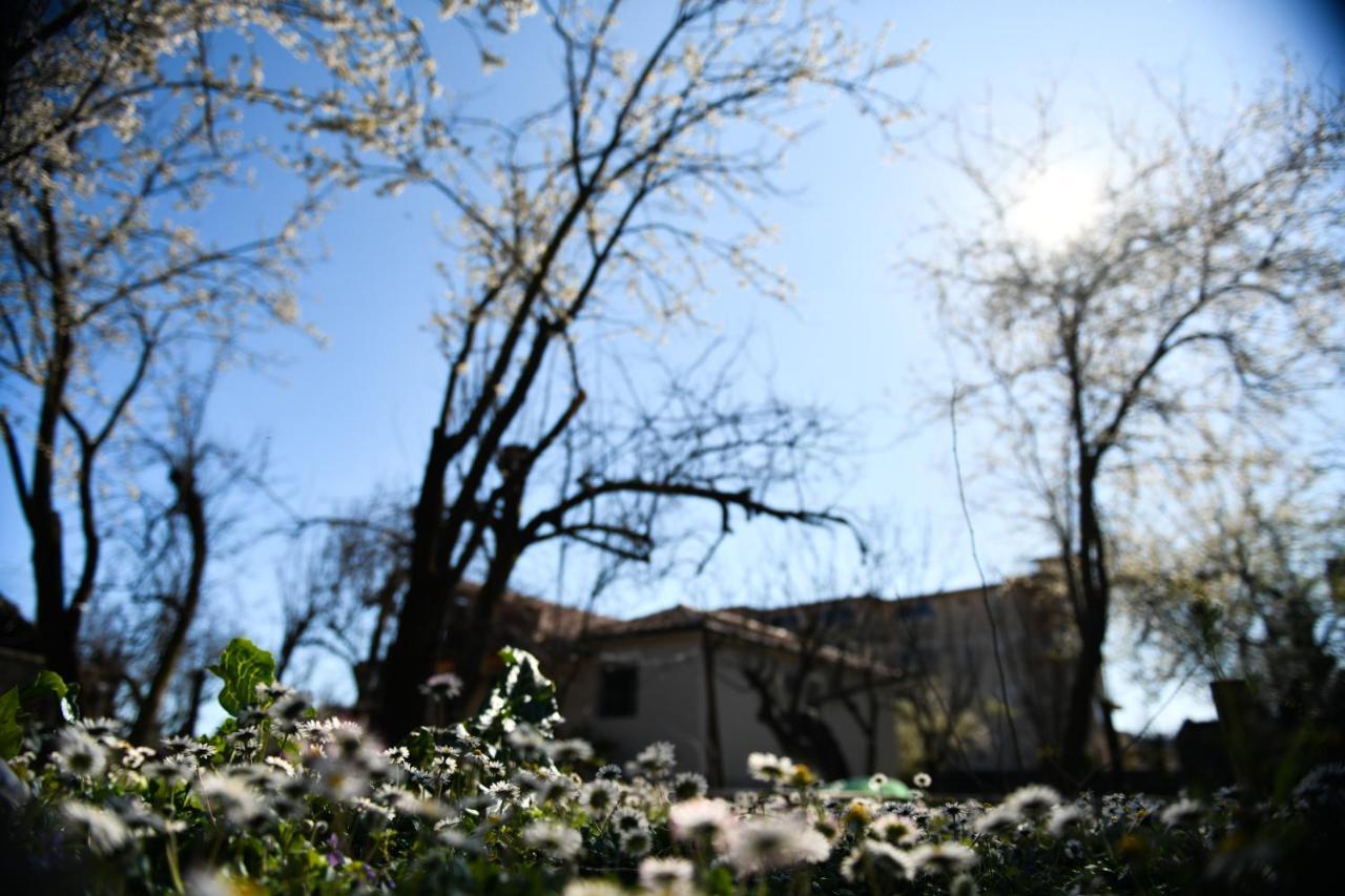 Nicolaus Hidden Gem Villa Shkoder Exterior photo