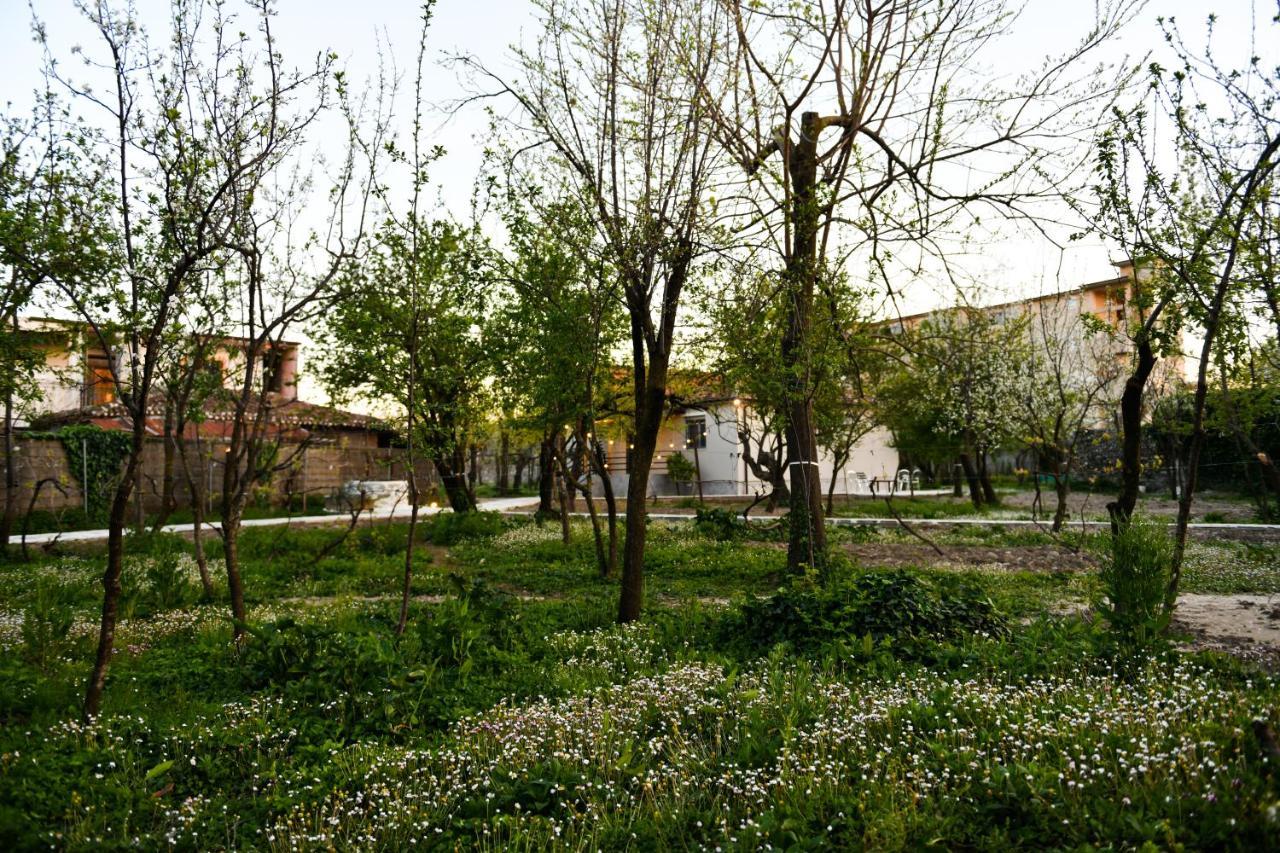 Nicolaus Hidden Gem Villa Shkoder Exterior photo
